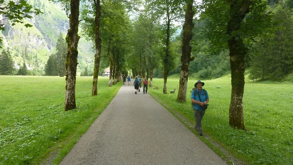 Bergahorn-Allee | © Bischofberger Max