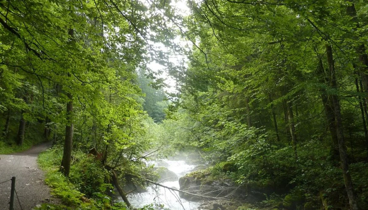 am Oybach | © Bischofberger Max