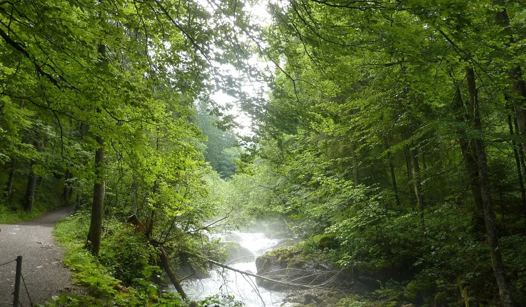 am Oybach | © Bischofberger Max