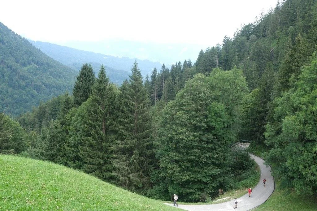 Wanderung durchs Hölltobel | © DAV Wangen