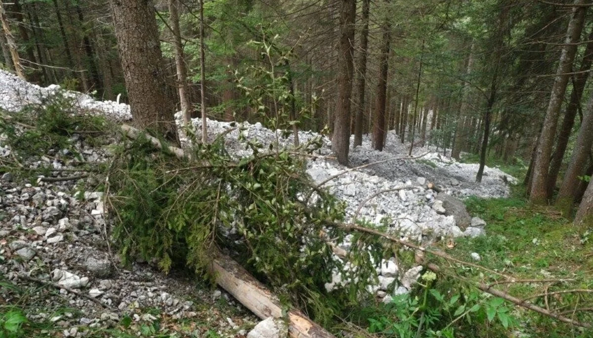 Wanderung durchs Hölltobel | © DAV Wangen