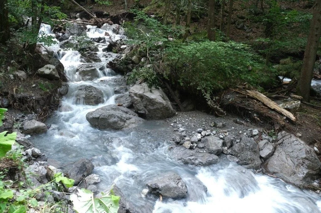 Wanderung durchs Hölltobel | © DAV Wangen