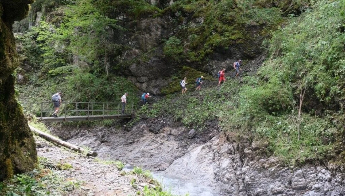 Wanderung durchs Hölltobel | © DAV Wangen