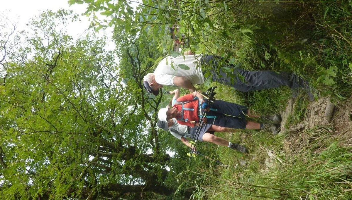 Wanderung durchs Hölltobel | © DAV Wangen