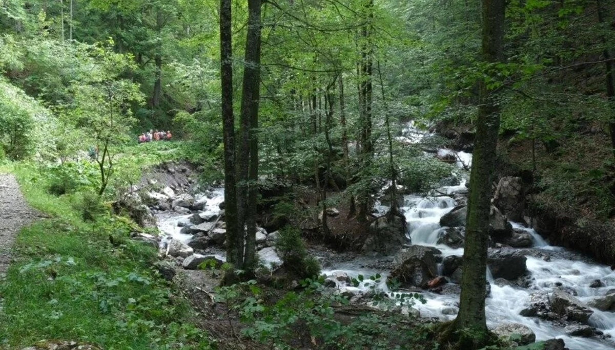 Wanderung durchs Hölltobel | © DAV Wangen
