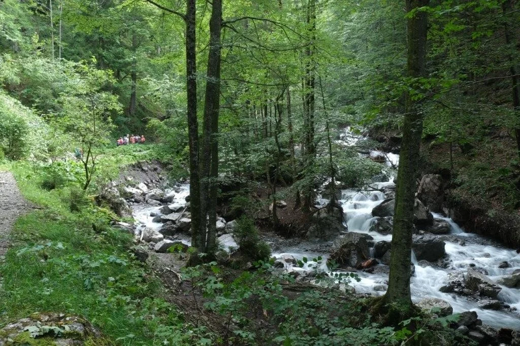Wanderung durchs Hölltobel | © DAV Wangen