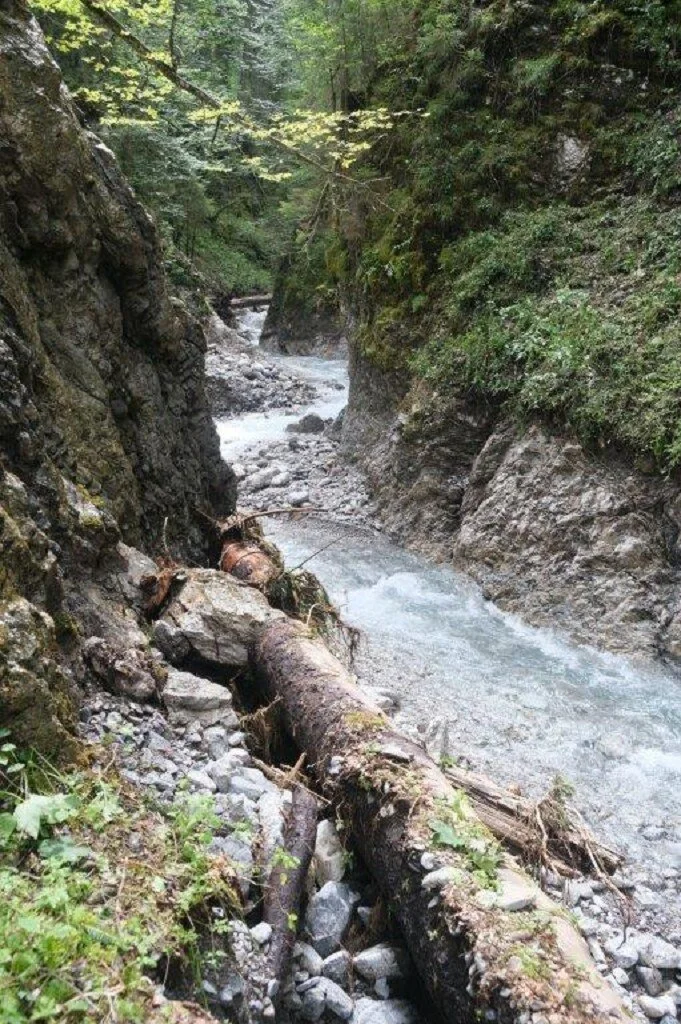 Wanderung durchs Hölltobel | © DAV Wangen