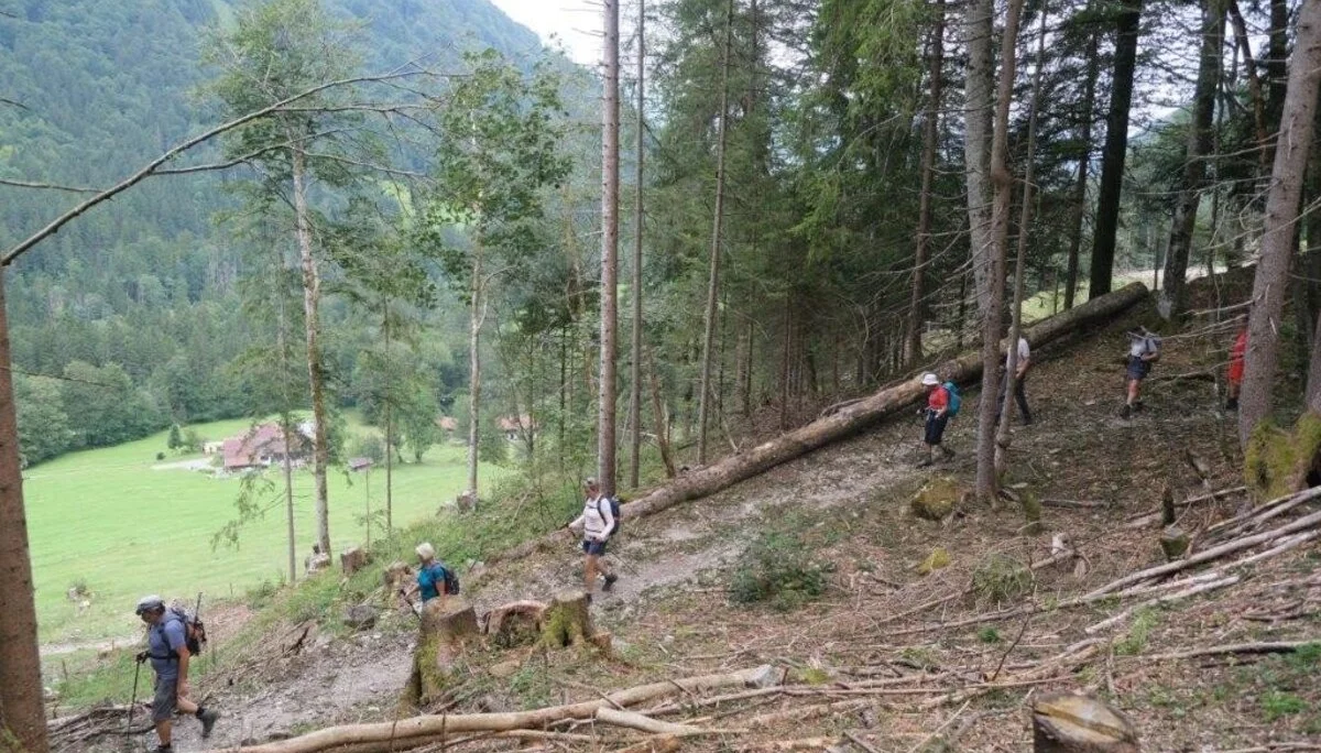 Wanderung durchs Hölltobel | © DAV Wangen