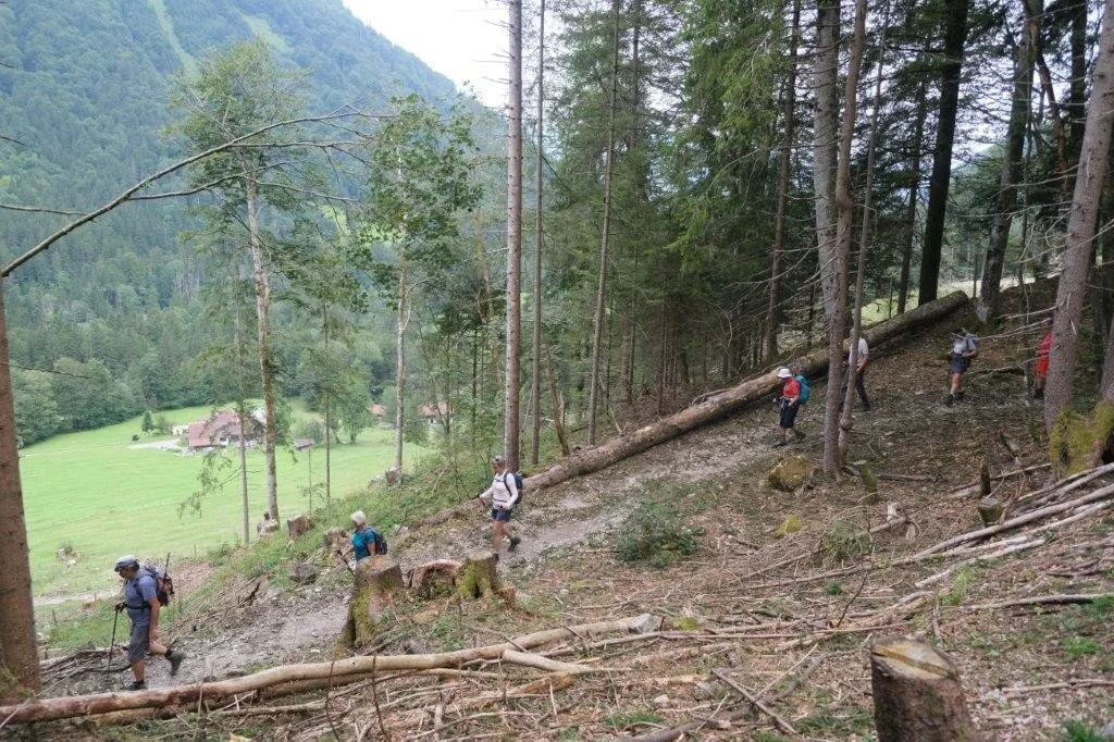 Wanderung durchs Hölltobel | © DAV Wangen