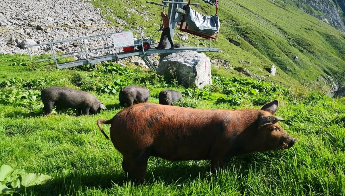 Mit dem Fahrrad in die Berge | © DAV Wangen