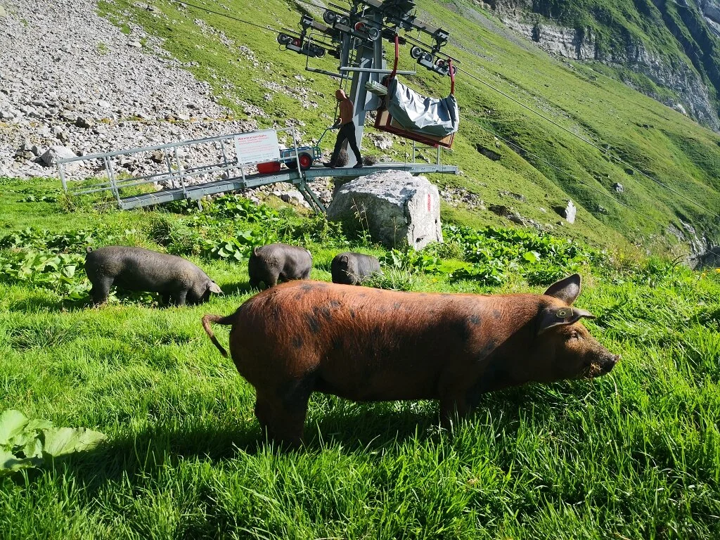 Mit dem Fahrrad in die Berge | © DAV Wangen