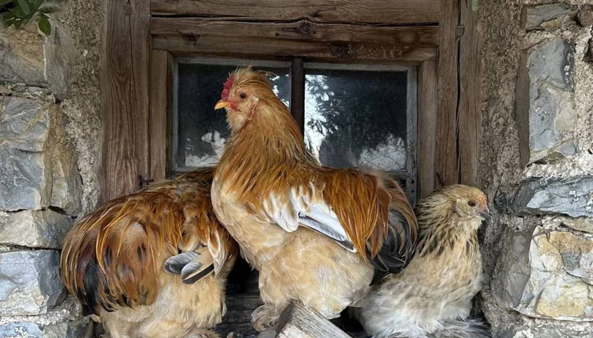 Bergwoche 2024 in Corvara | © H.Beck/O.Schneider