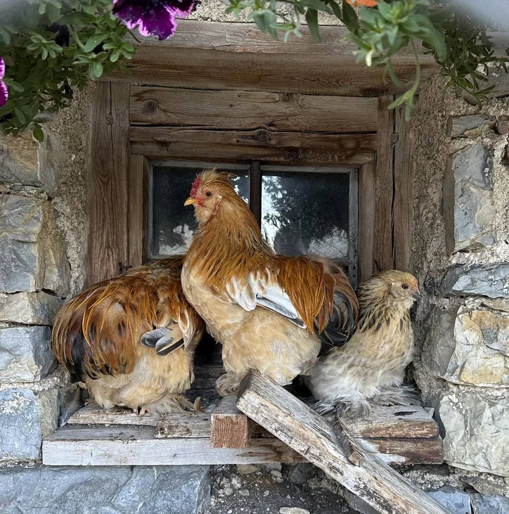 Bergwoche 2024 in Corvara | © H.Beck/O.Schneider