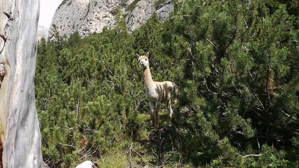 Bergwoche 2024 in Corvara | © H.Beck/O.Schneider