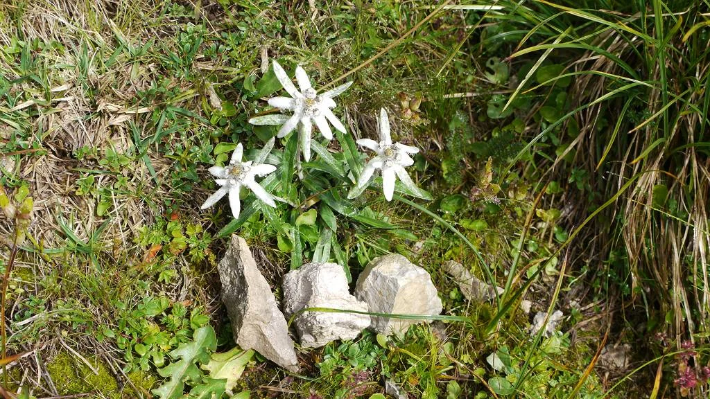 Bergwoche 2024 in Corvara | © H.Beck/O.Schneider