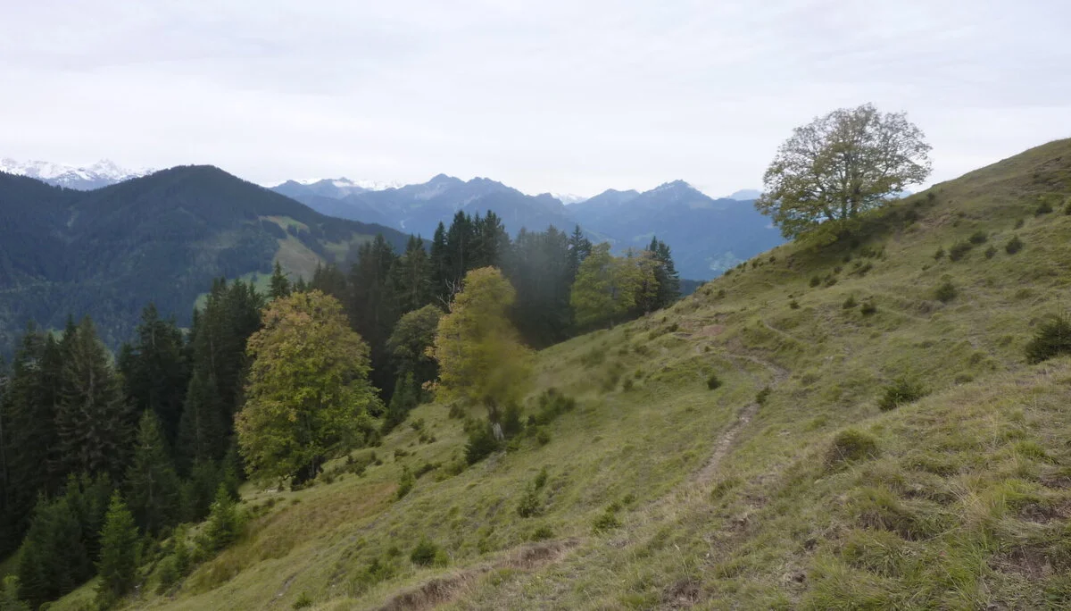 Kammweg Furx | © DAV Wangen/Bischofberger Max