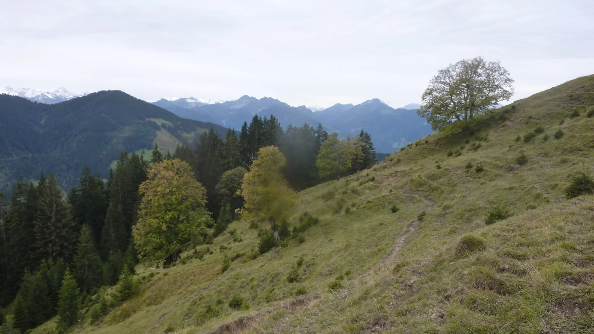 Kammweg Furx | © DAV Wangen/Bischofberger Max