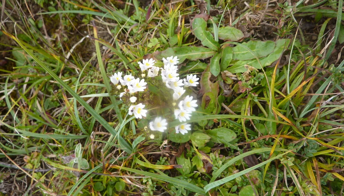 Kammweg Furx | © DAV Wangen/Bischofberger Max