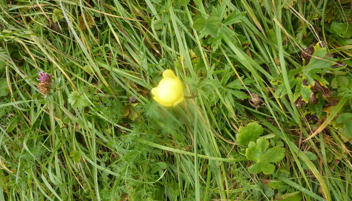 Kammweg Furx | © DAV Wangen/Bischofberger Max