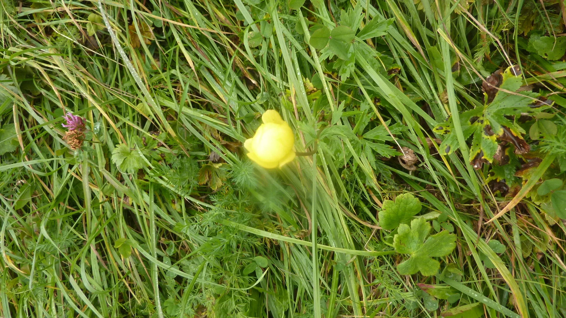 Kammweg Furx | © DAV Wangen/Bischofberger Max