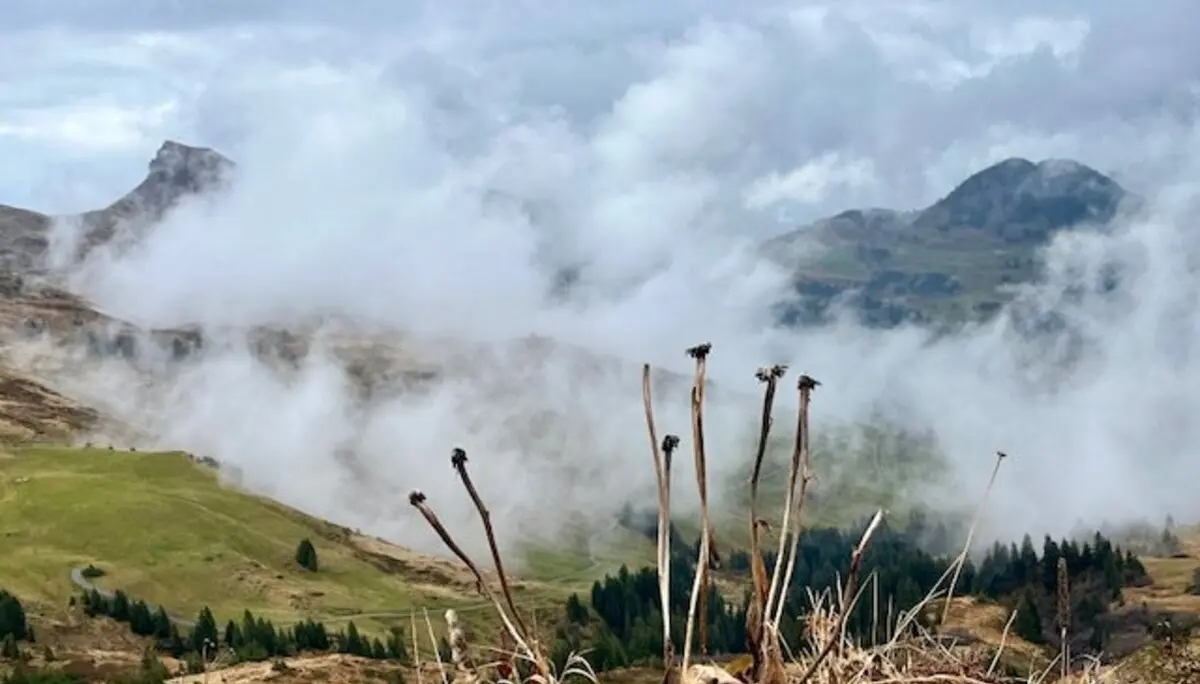 DAV-Senioren im Wetterglück | © DAV Wangen