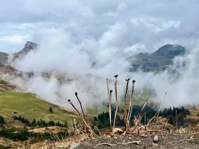 DAV-Senioren im Wetterglück | © DAV Wangen