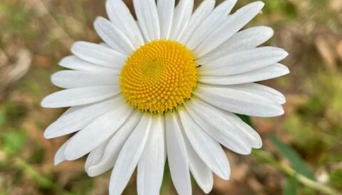 DAV-Senioren im Wetterglück | © DAV Wangen
