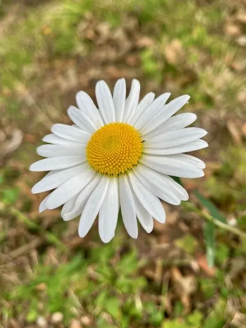DAV-Senioren im Wetterglück | © DAV Wangen
