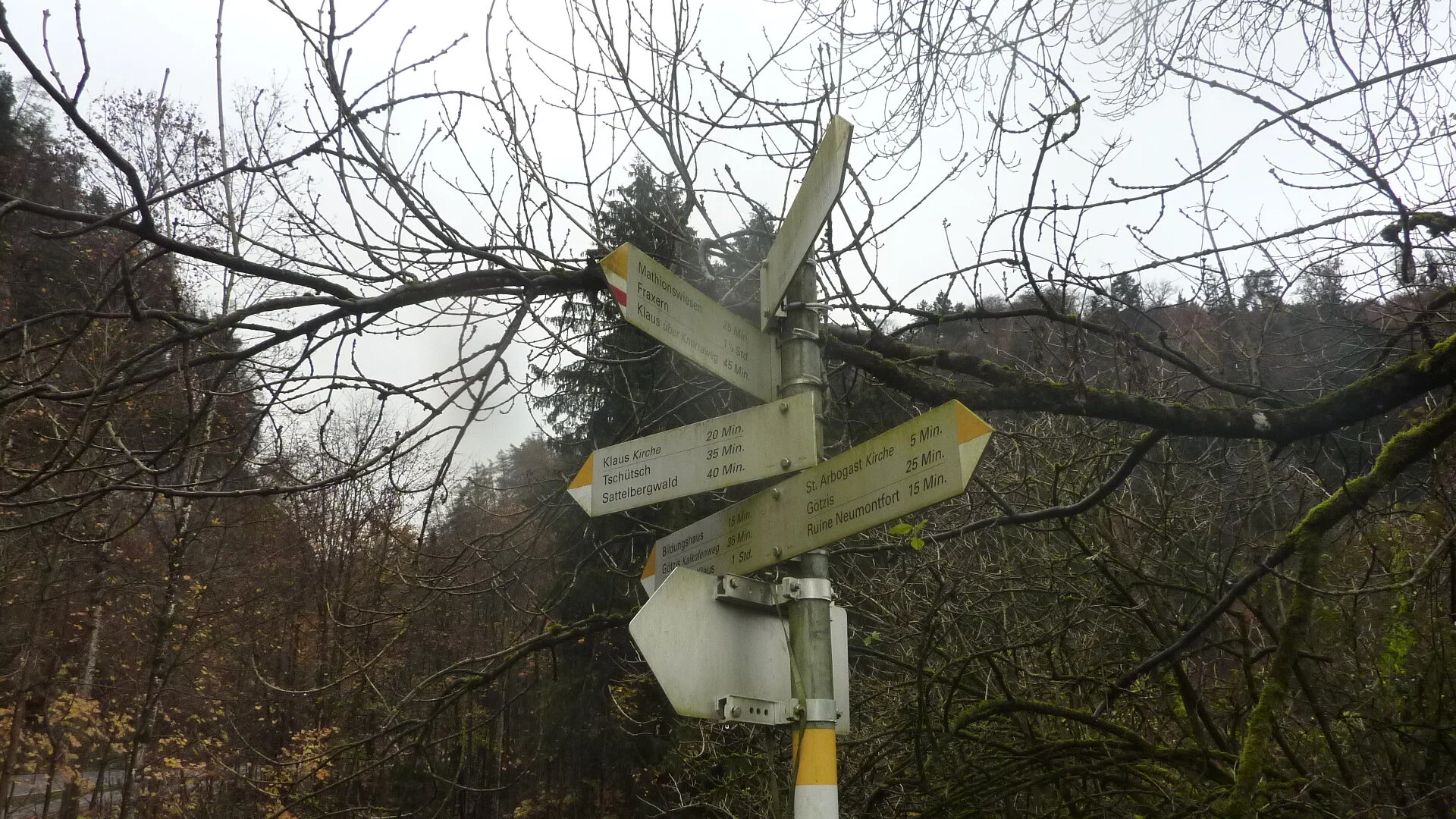 Rund um Götzis | © DAV Wangen/Bischofberger