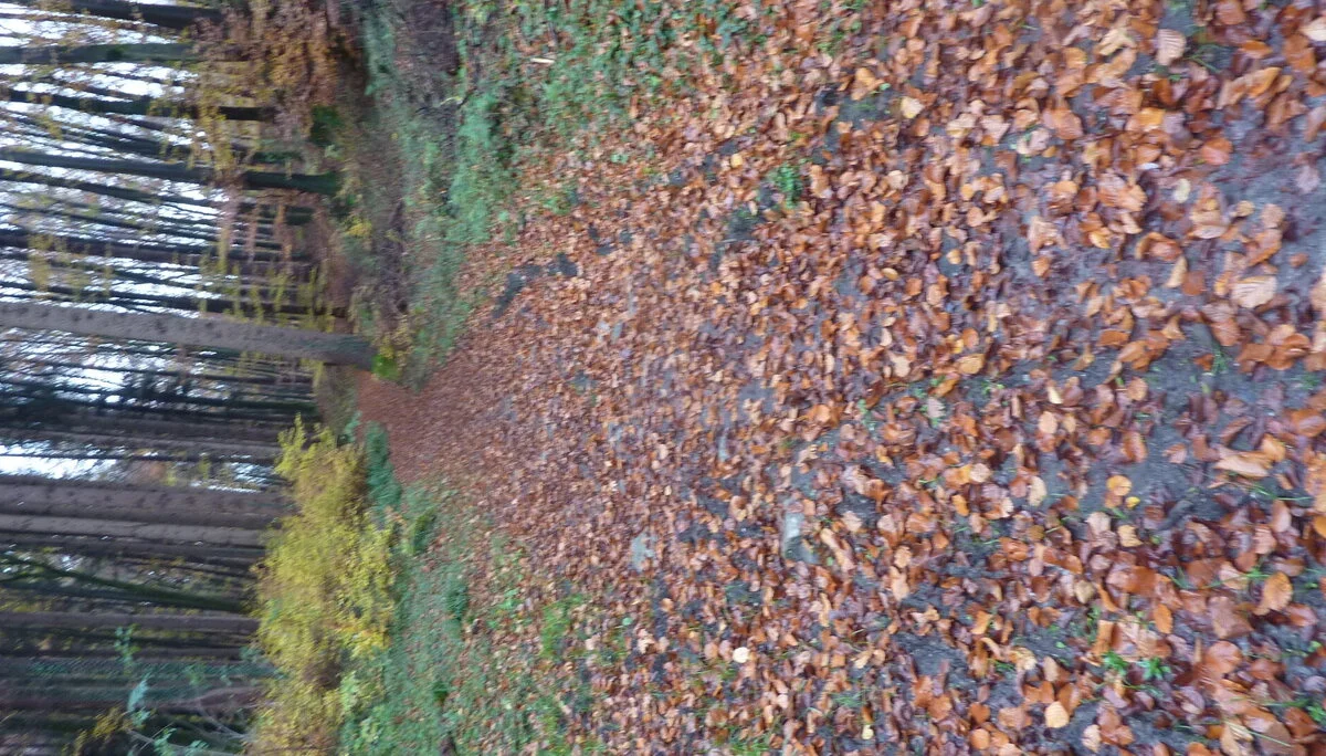 Rund um Götzis | © DAV Wangen/Bischofberger