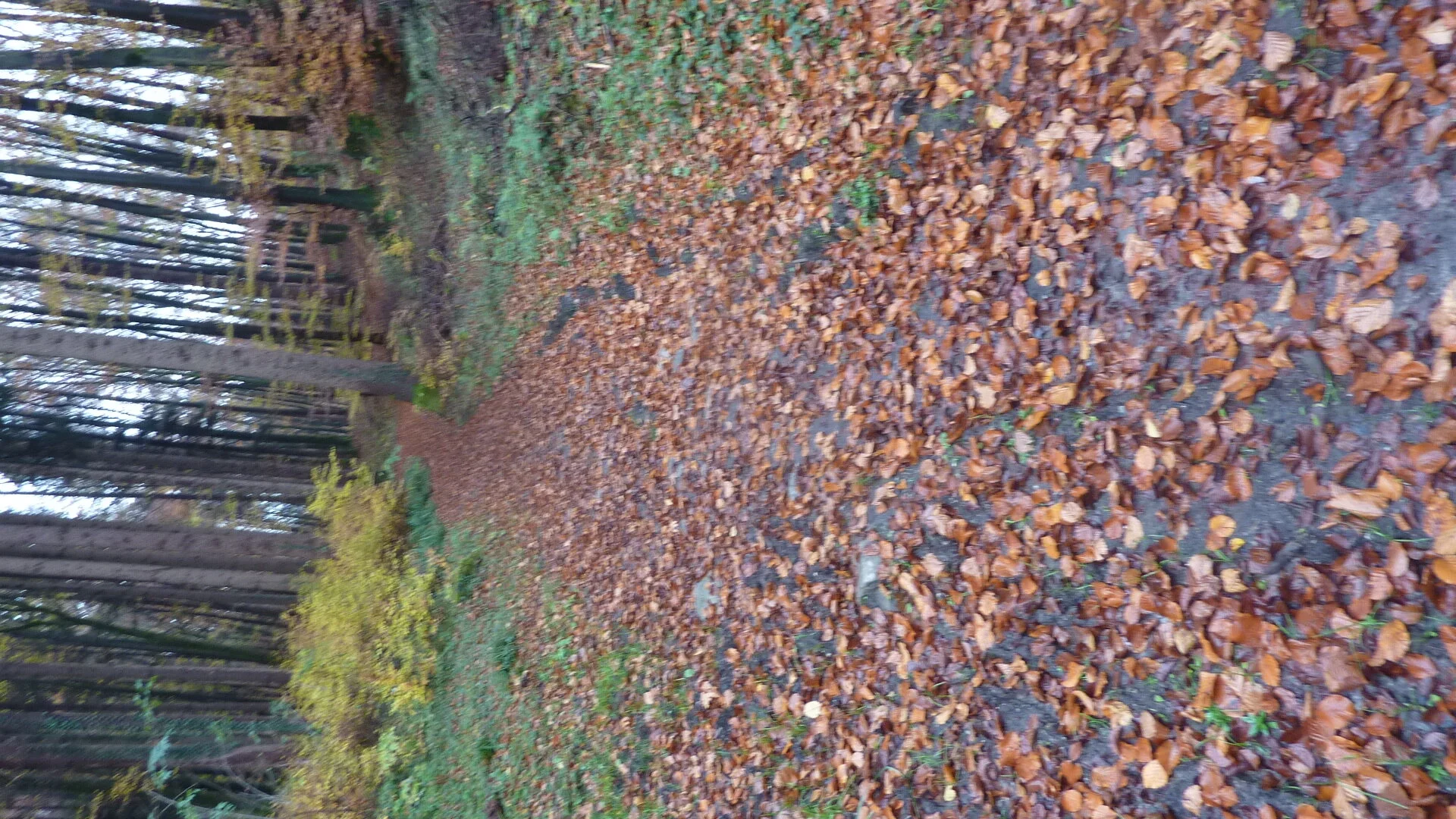 Rund um Götzis | © DAV Wangen/Bischofberger