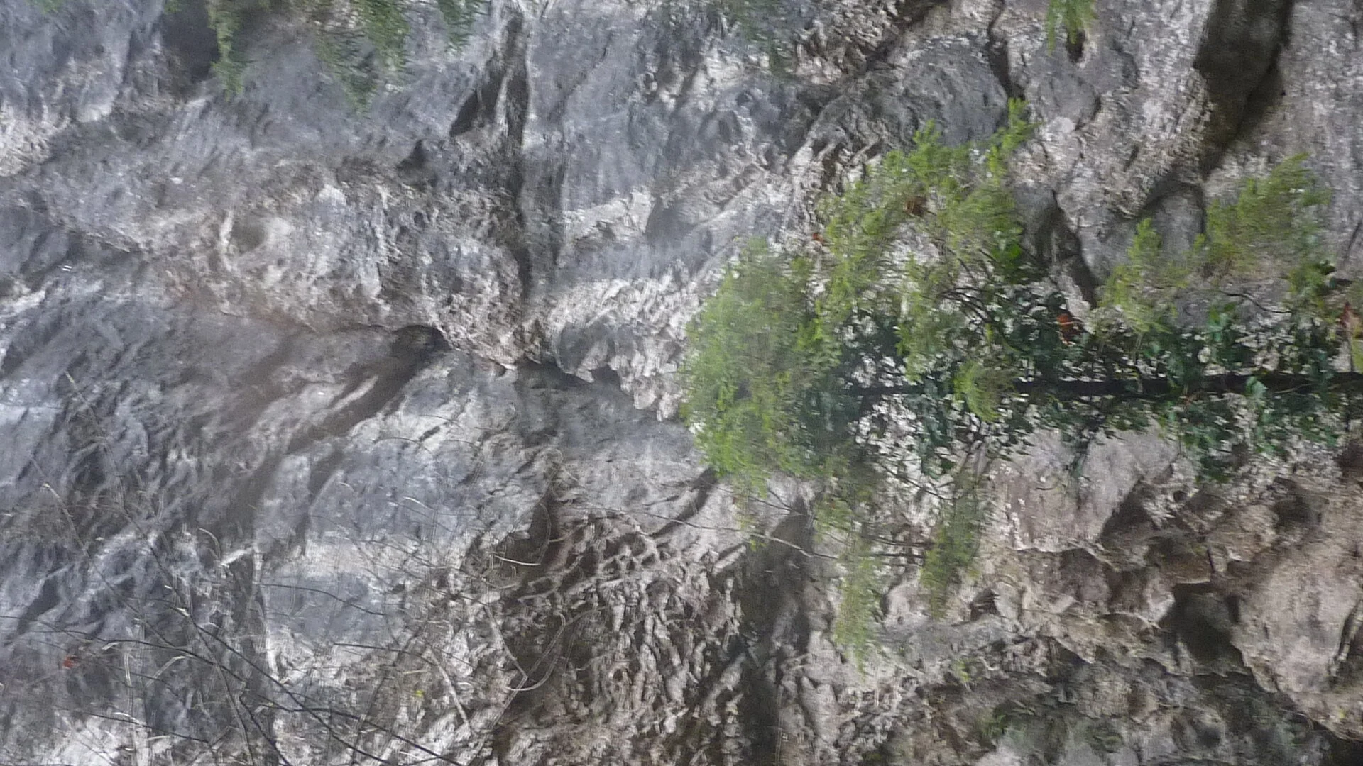 Rund um Götzis | © DAV Wangen/Bischofberger