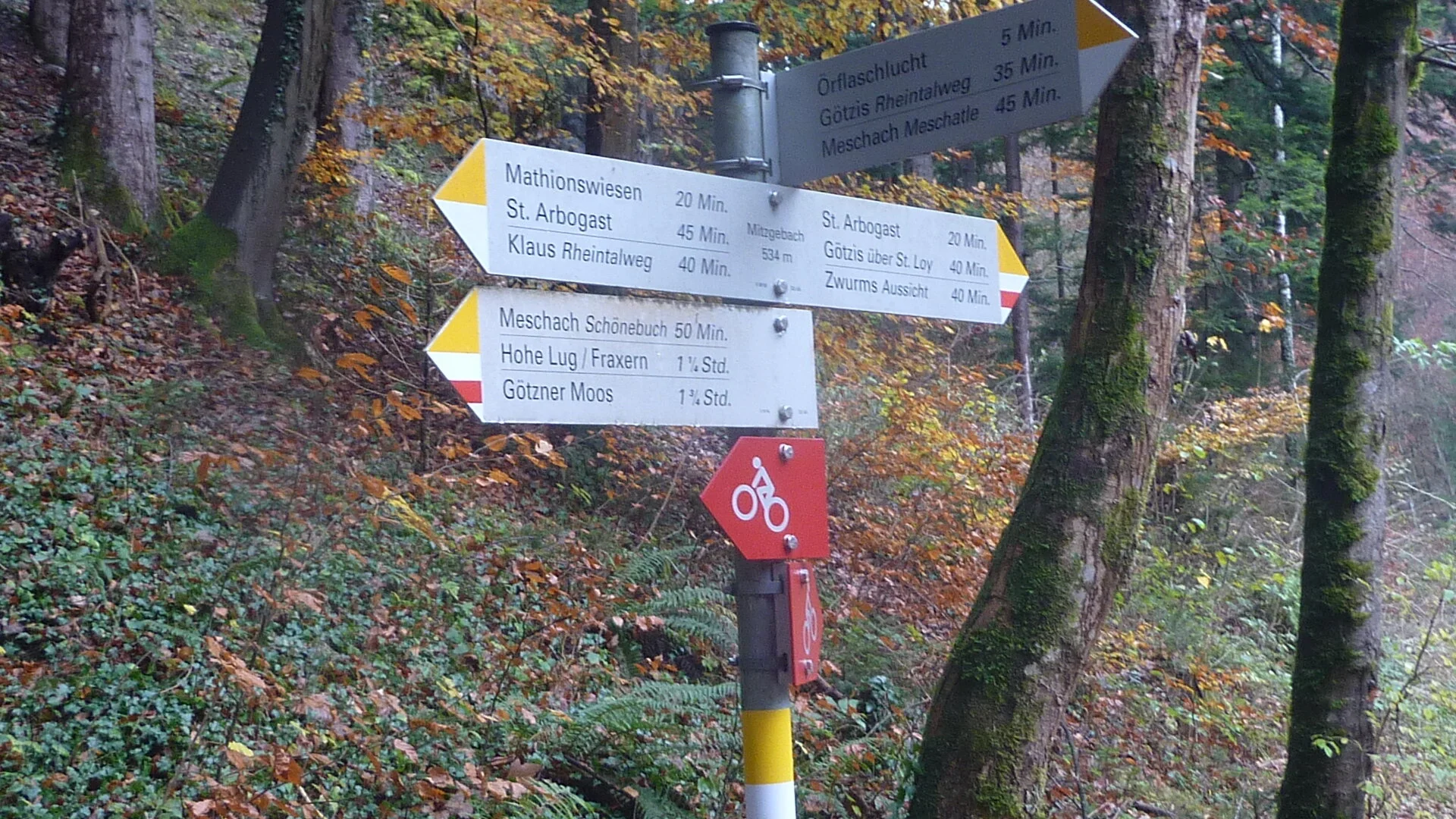 Rund um Götzis | © DAV Wangen/Bischofberger