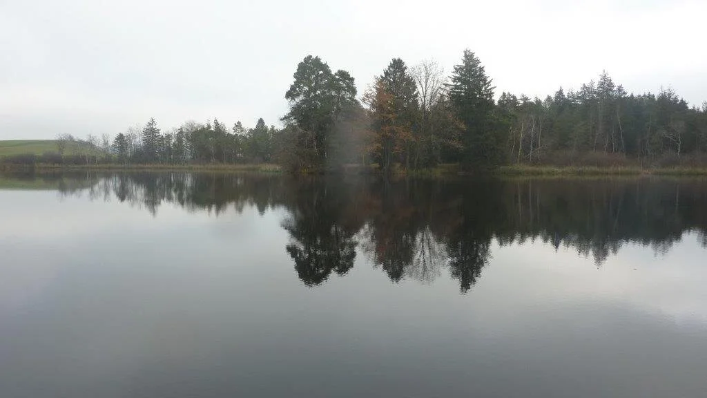 Blausee, olgotrophes Gewässer, enstanden vor 16 000 Jahren durch Toteisloch | © DAV Wangen