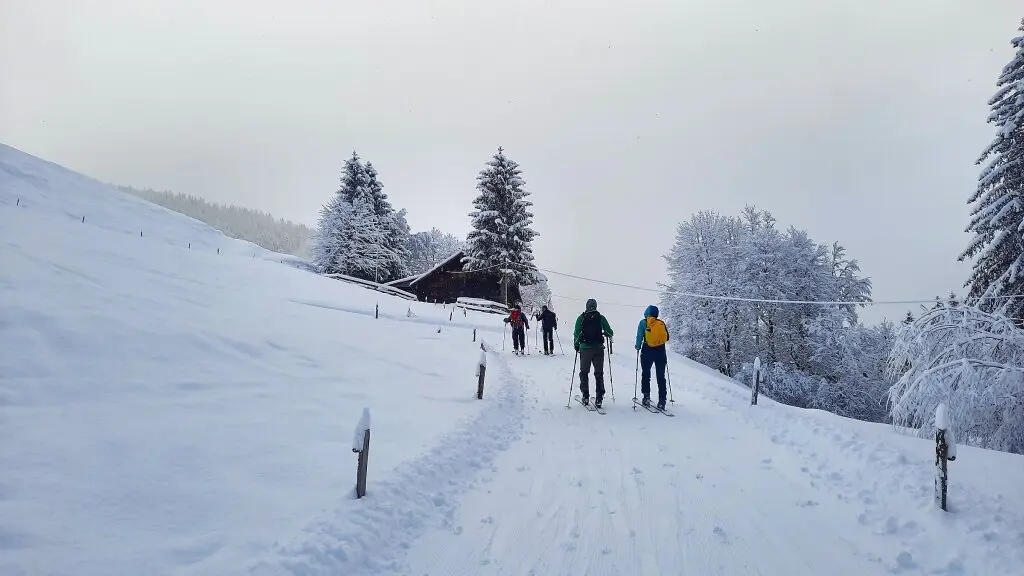 Skitour zum Eineguntkopf | © Peter Klugger