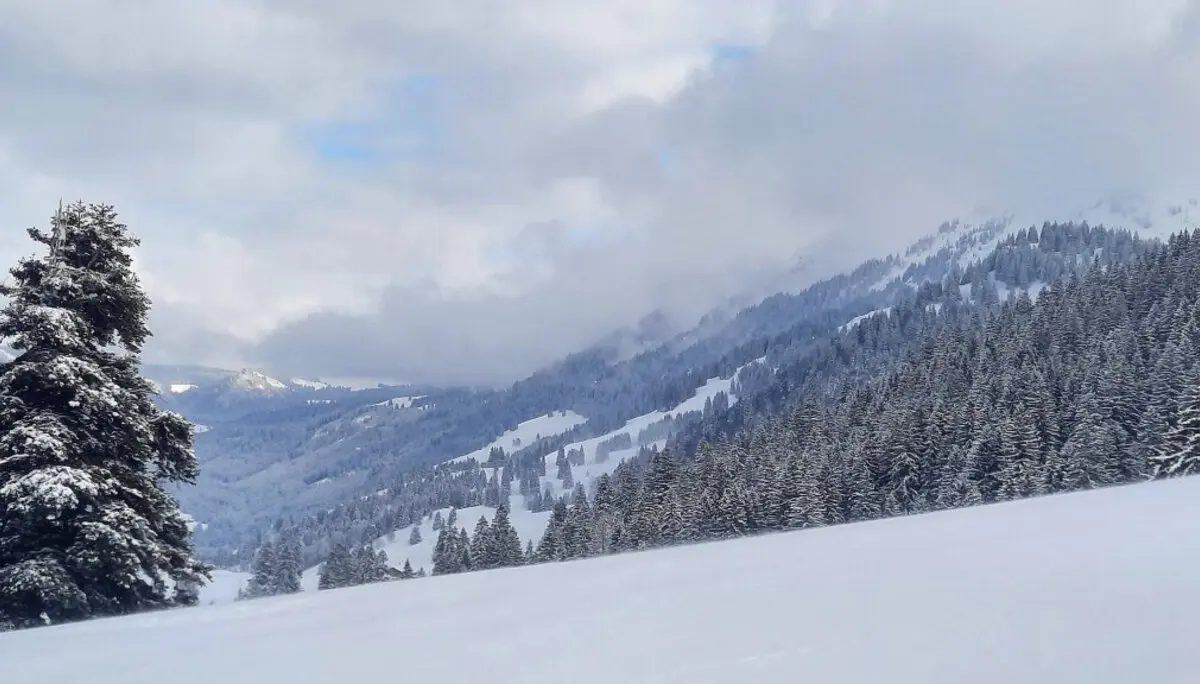 Skitour zum Eineguntkopf | © Peter Klugger