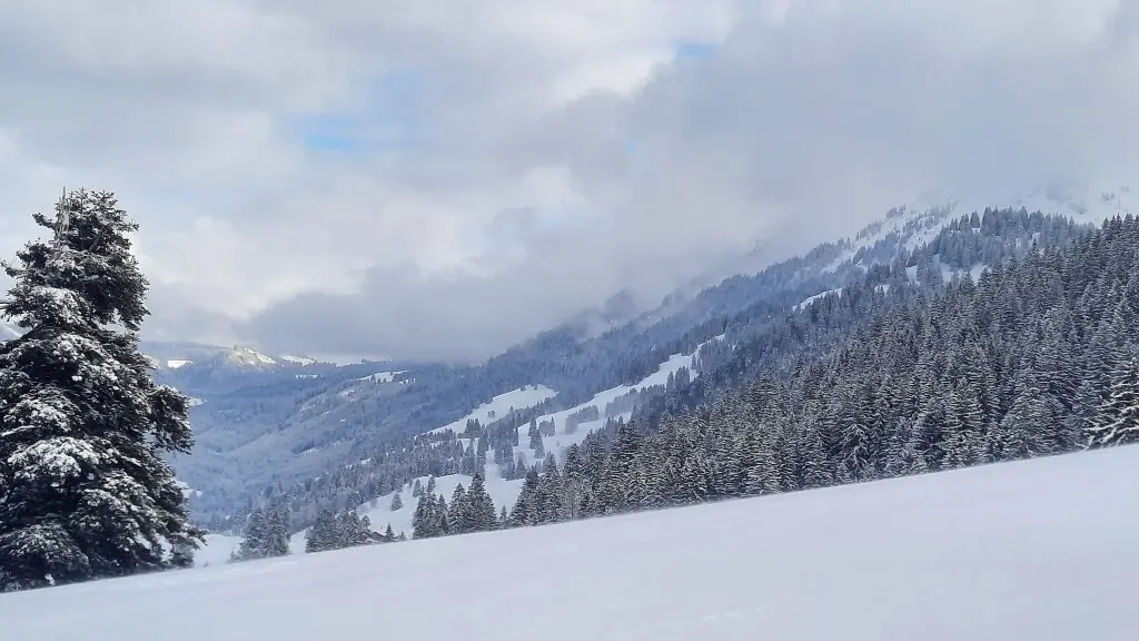 Skitour zum Eineguntkopf | © Peter Klugger