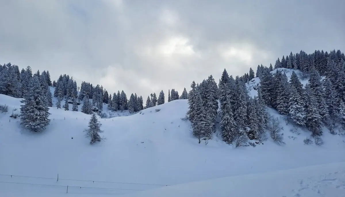Skitour zum Eineguntkopf | © Peter Klugger