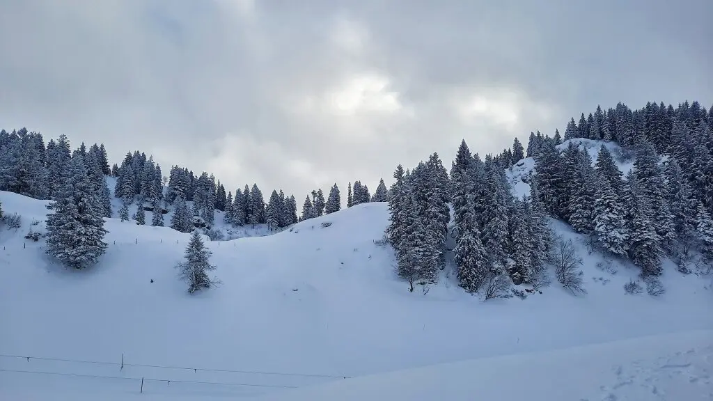 Skitour zum Eineguntkopf | © Peter Klugger