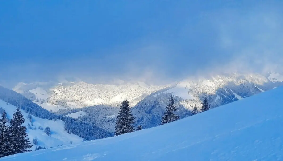 Skitour zum Eineguntkopf | © Peter Klugger