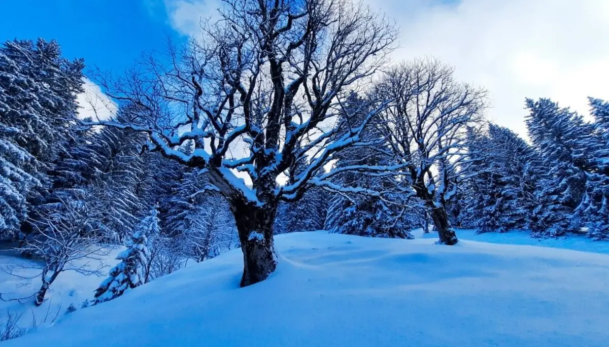 Skitour zum Eineguntkopf | © Peter Klugger