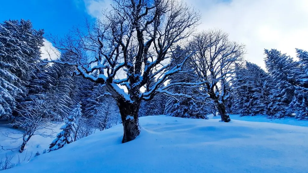 Skitour zum Eineguntkopf | © Peter Klugger