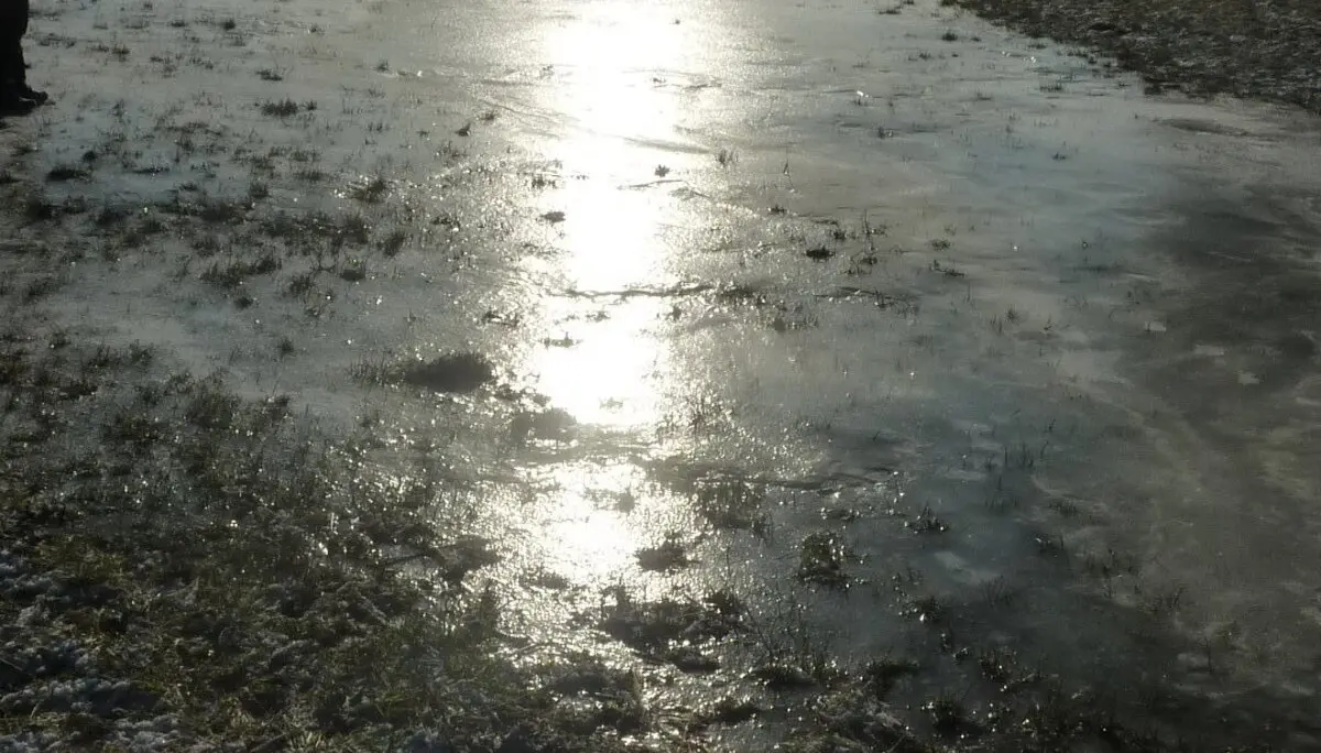 überall Eisflächen, aber kein Schnee | © Max Bischofberger