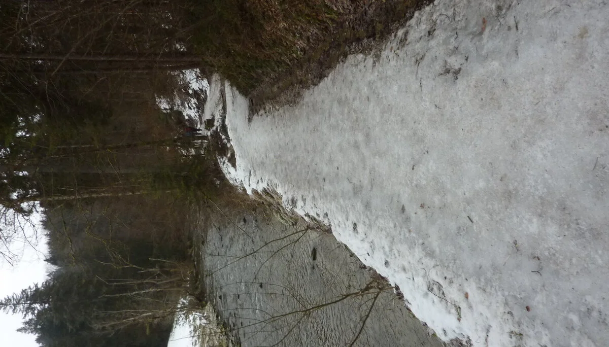 DAV-Senioren unterwegs im Eistobel | © Max Bischofberger