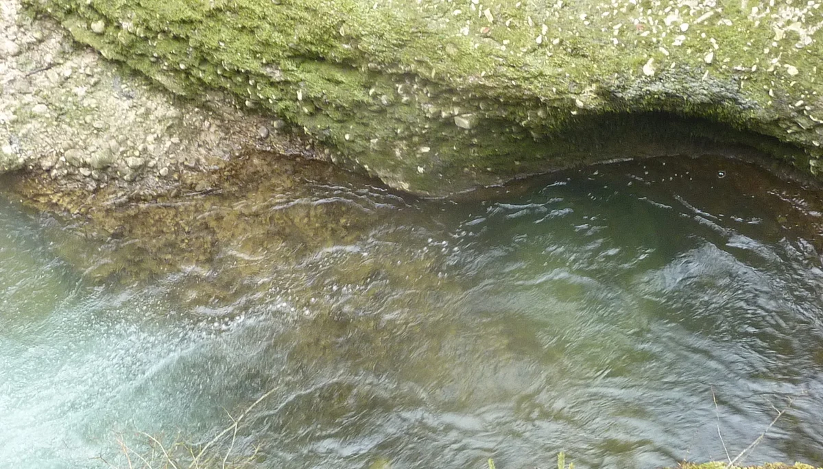 DAV-Senioren unterwegs im Eistobel | © Max Bischofberger