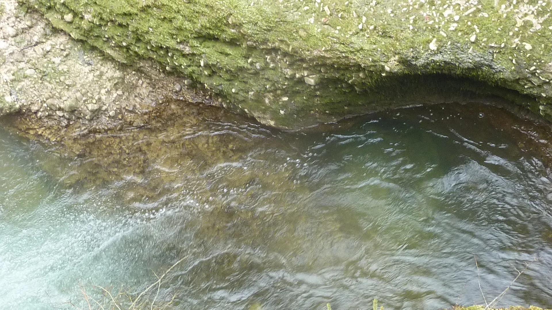 DAV-Senioren unterwegs im Eistobel | © Max Bischofberger