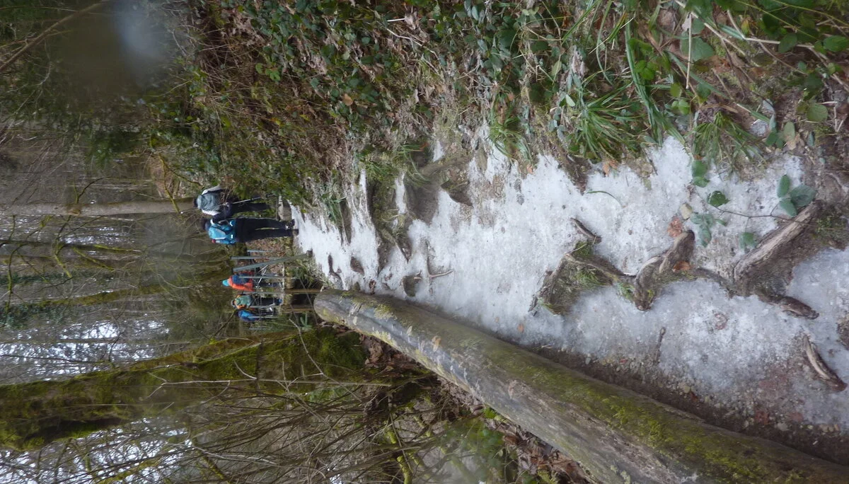 DAV-Senioren unterwegs im Eistobel | © Max Bischofberger