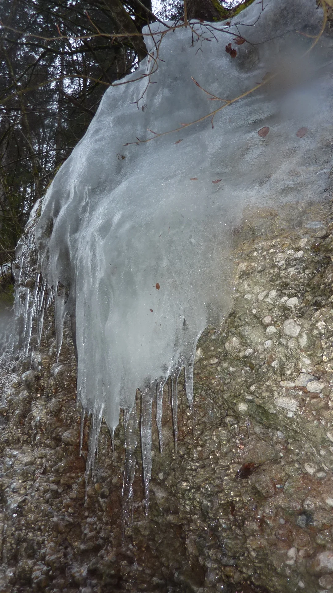 DAV-Senioren unterwegs im Eistobel | © Max Bischofberger