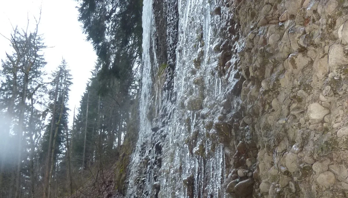 DAV-Senioren unterwegs im Eistobel | © Max Bischofberger