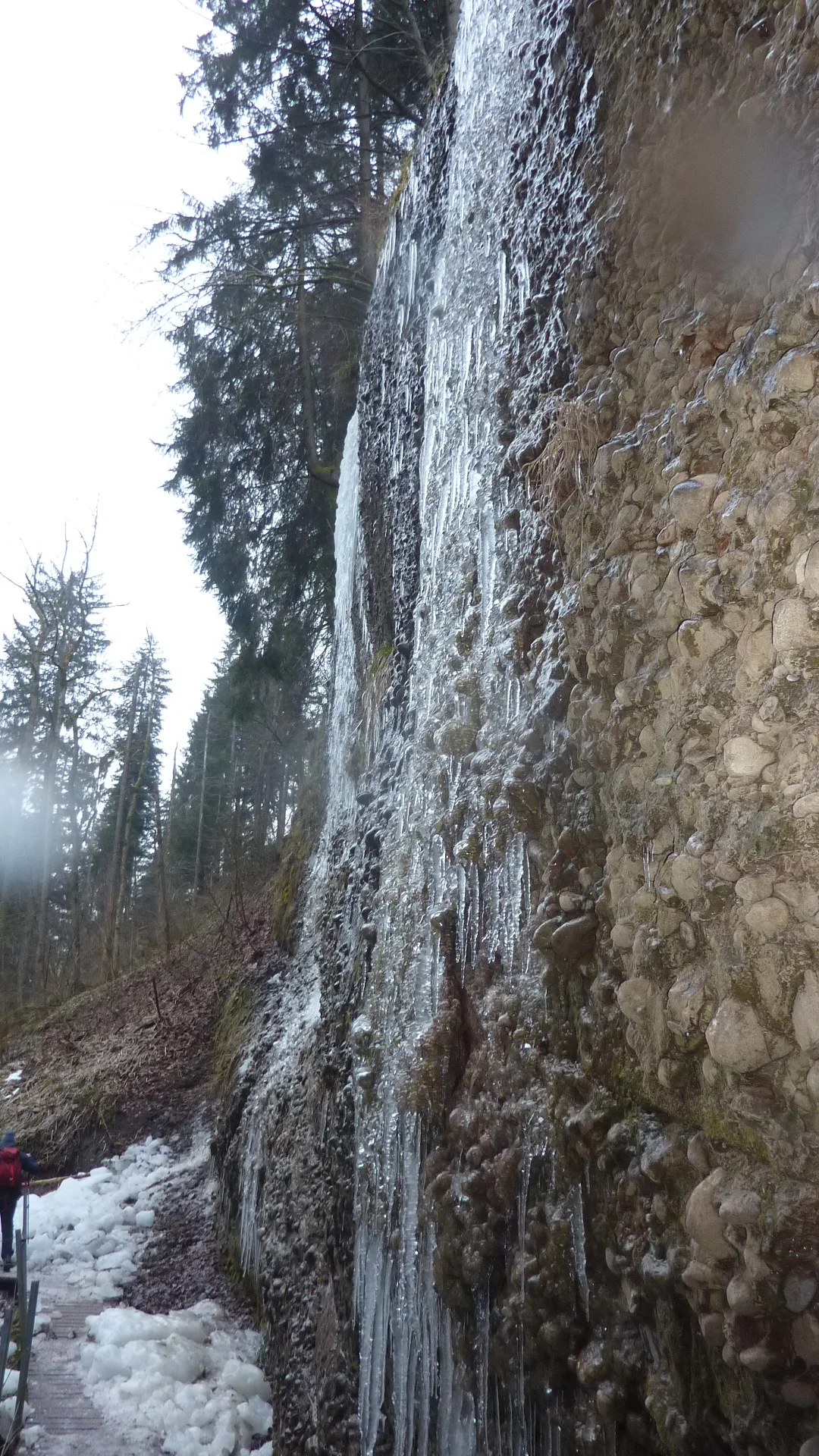 DAV-Senioren unterwegs im Eistobel | © Max Bischofberger